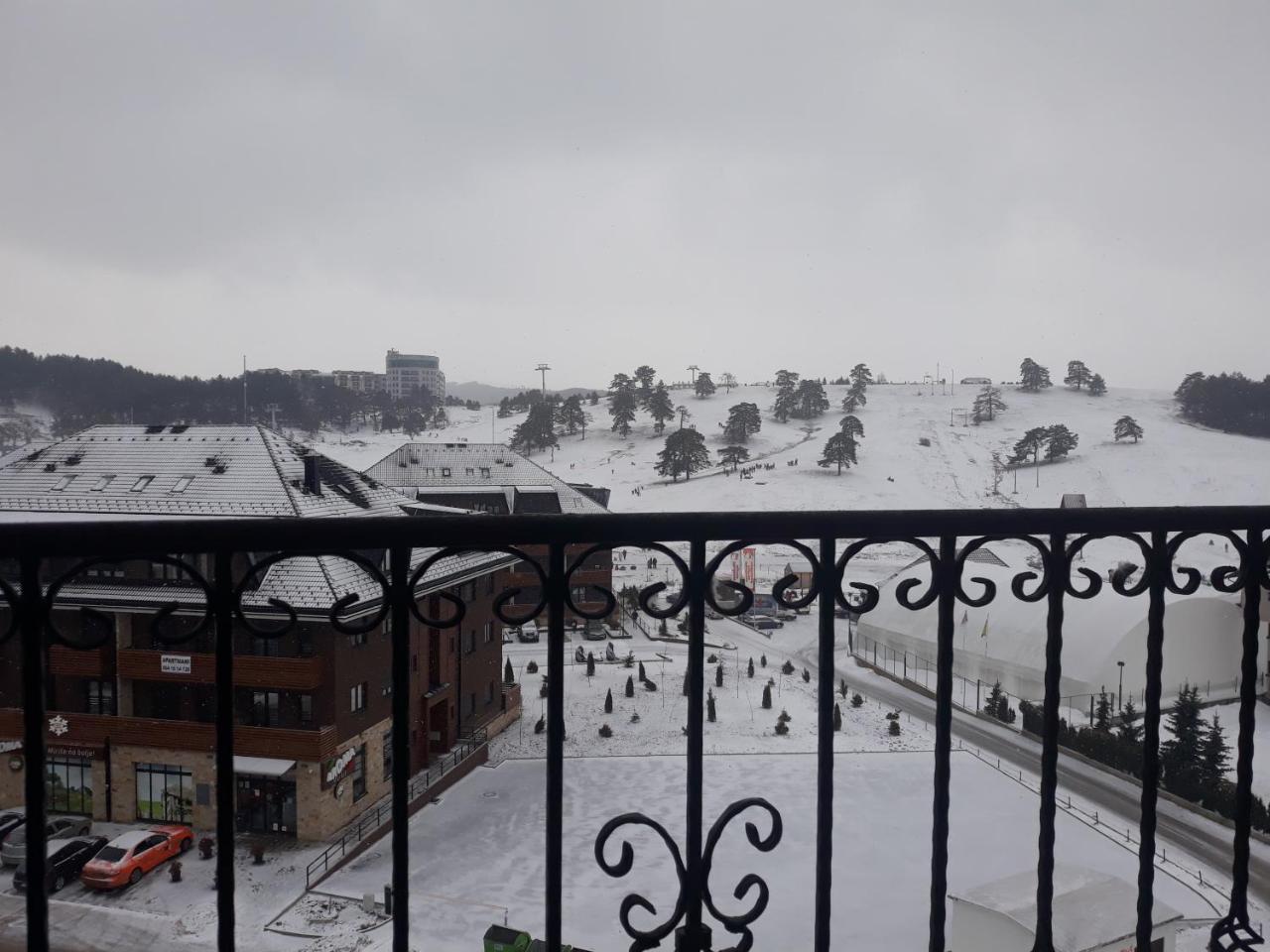 Pejzaz Zlatibora Daire Zlatibor